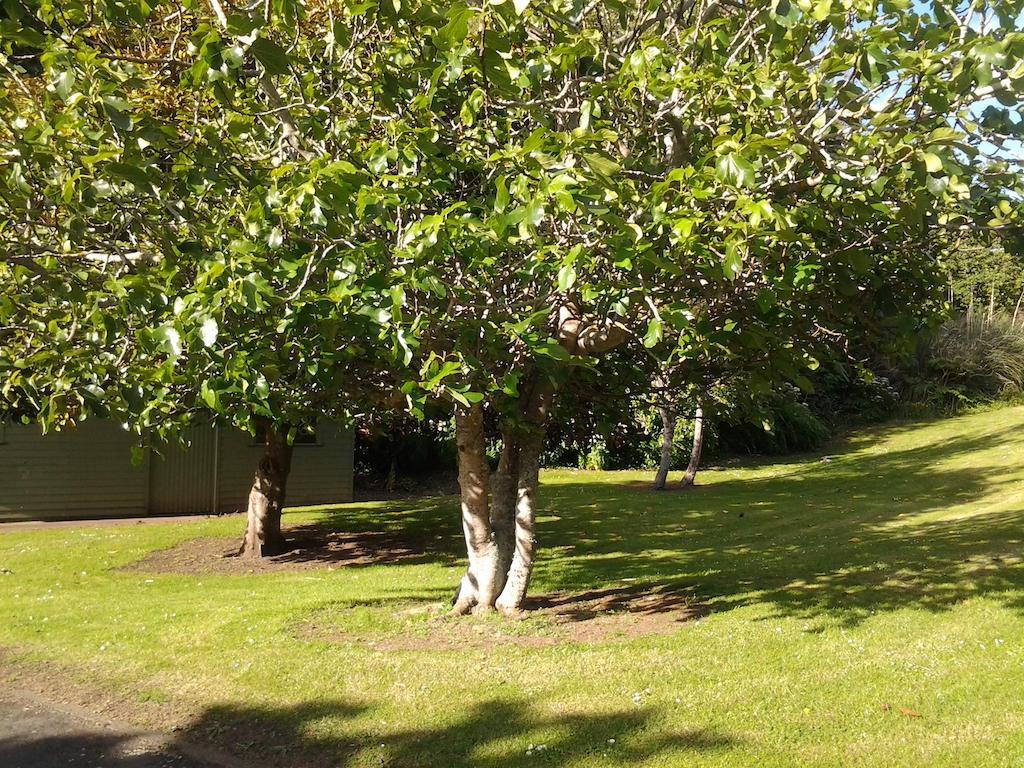 Hikurangi Stayplace Whanganui Exteriér fotografie